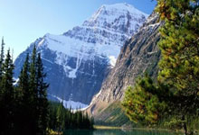 Pizza: What the Data Says About Its True Cost and Market Value